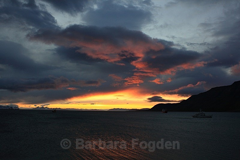 Adventfjord 4798 - Colours of Svalbard