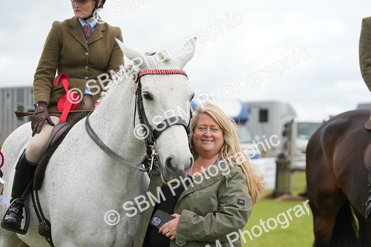 SBM_12855 - Class 97-98 - LIHS BSHA Rising Star Working Show Horse Hunter