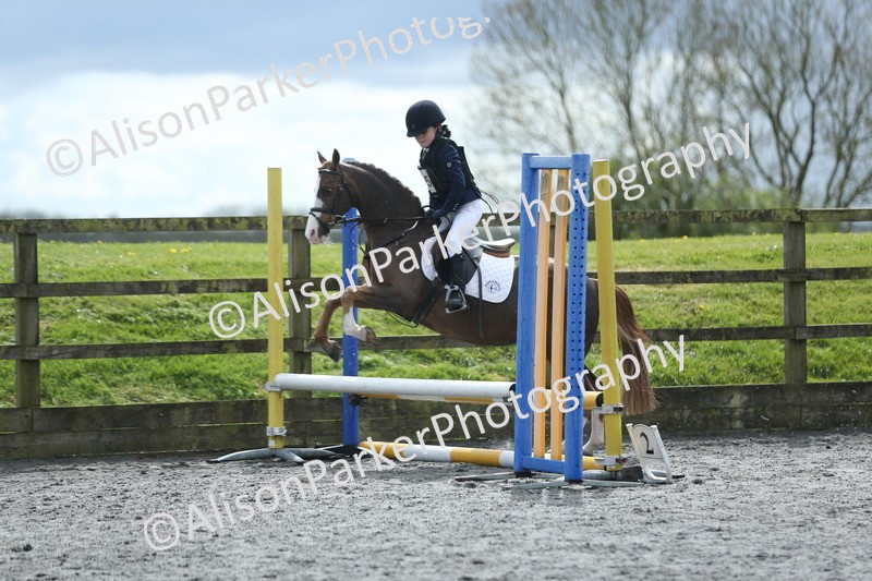 20260412-1734 - Show Jumping