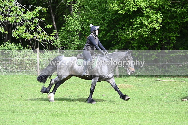 WJ7_2082 - Group 2 A&B Cameras