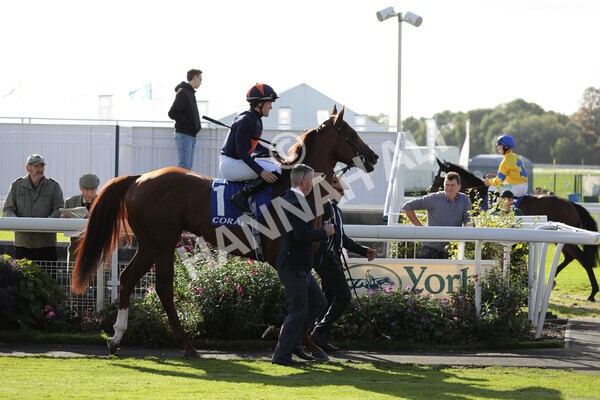 yr08102022r3-10 - Race 3 2.40pm The Coral 'Beaten-by-a-Length' Free Bet Handicap