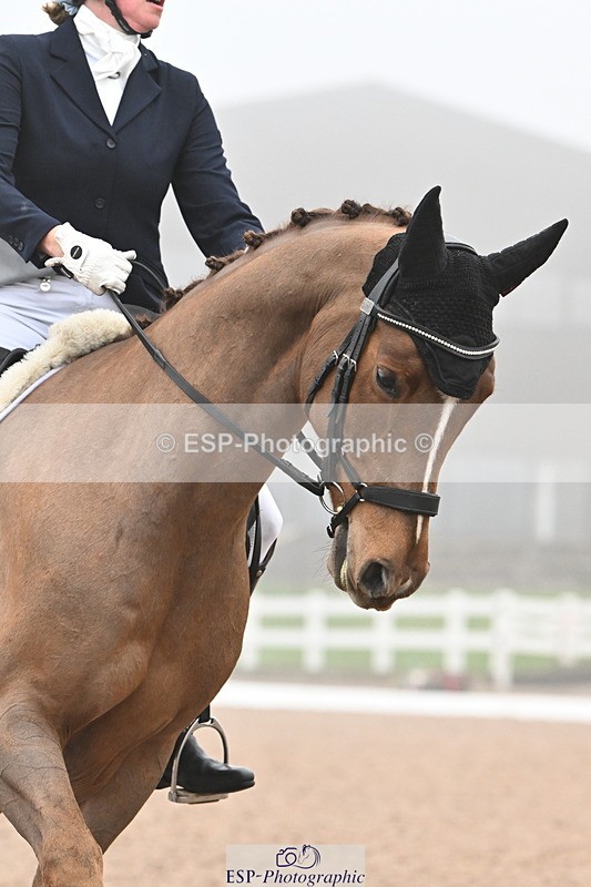 240217A-111613-01623 - 124-Anna.miller-fantabulous