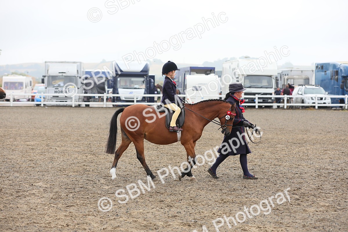 SBM_21705 - Class 806 - Young ridder 10 Yr & Under