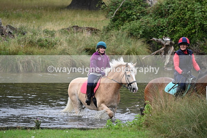 WJ7_6940 - Time at Water 10:01 to 10:27