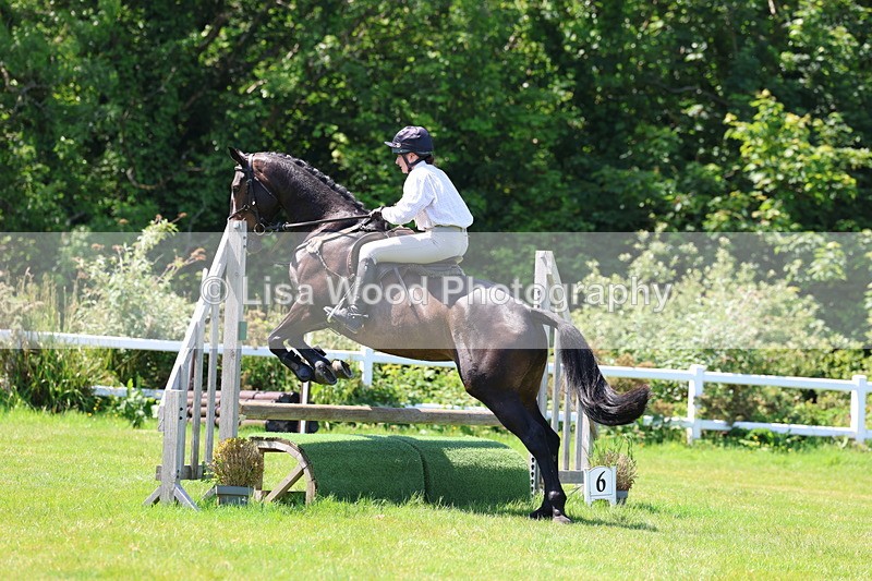 3E7A7059 - Class 30: Novice Working Hunter