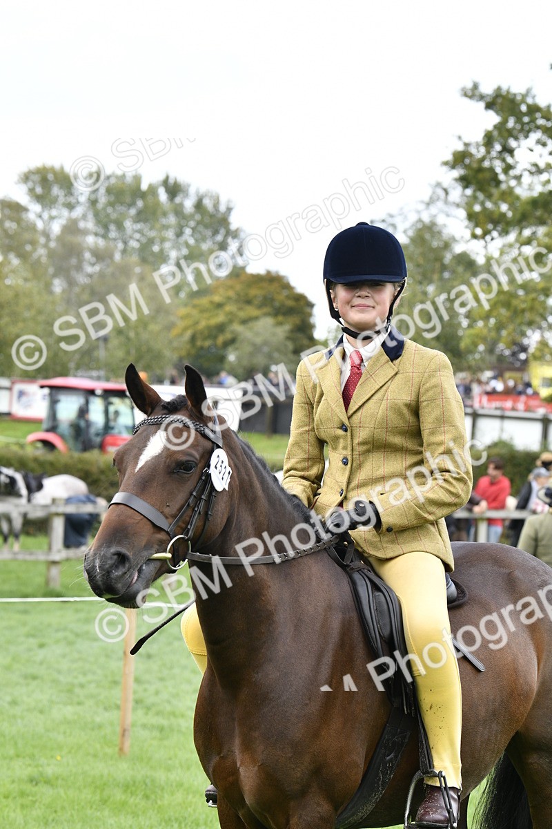 SBM_38269 - S31 - Novice & Newcomer Working Hunter Pony