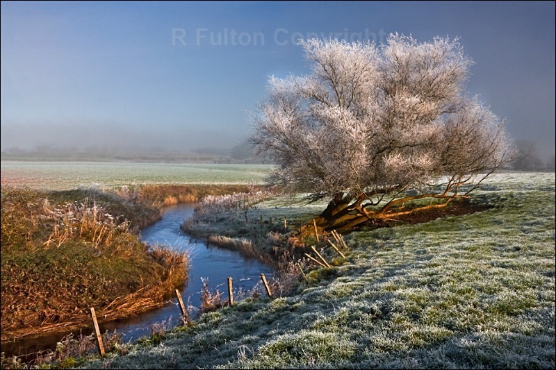 Changing Seasons - Landscapes