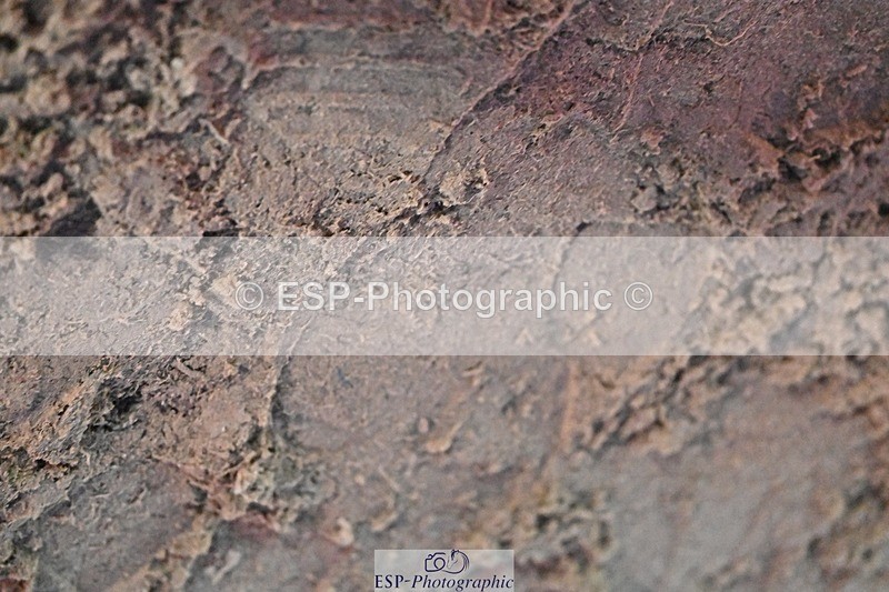 241110-165433-01515 - 90-95cm Arena Eventing