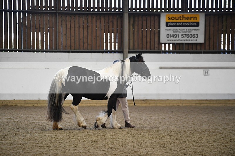 WJ5_5491 - Class 8 In hand cob