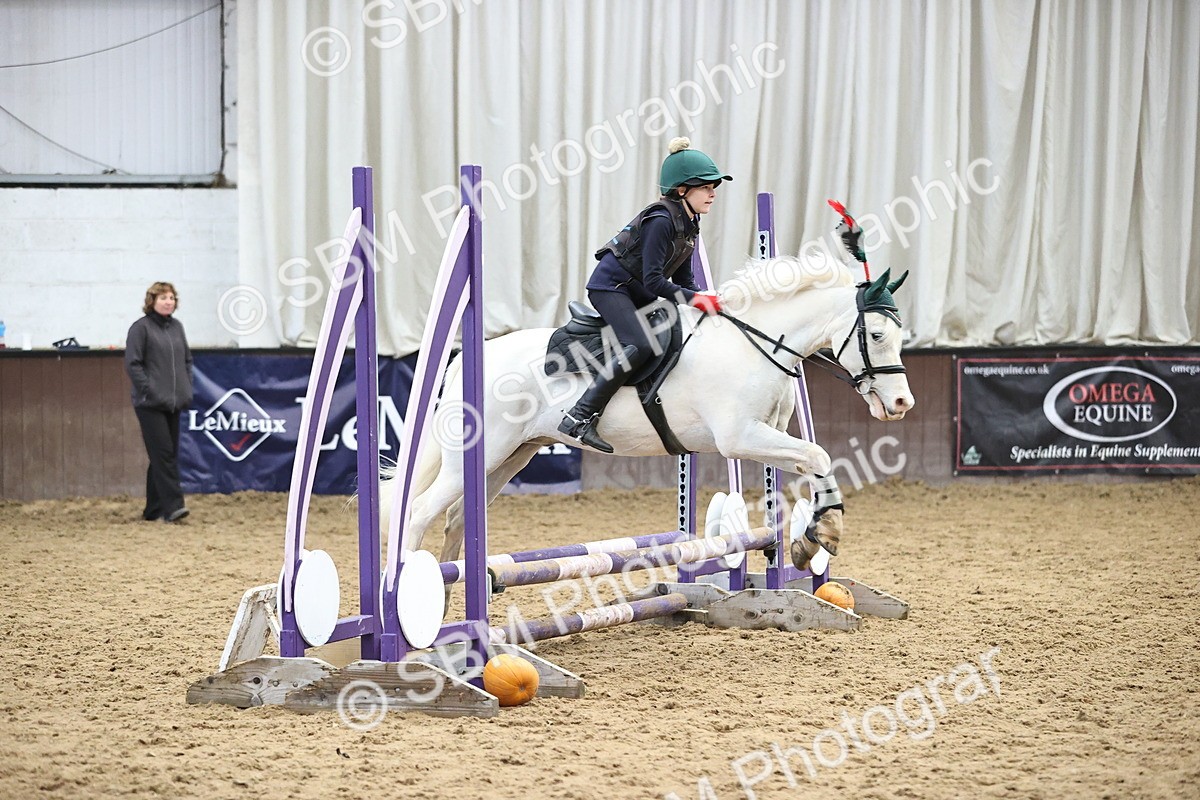 SBM_001252 - Class 3 - Horse & Hound 60cm