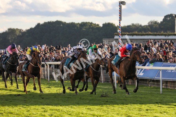141023-Race 7-Star Ahoy-0689 - Race 7 4.45pm Coral 'Committed To Safer Gambling' Finale Handicap