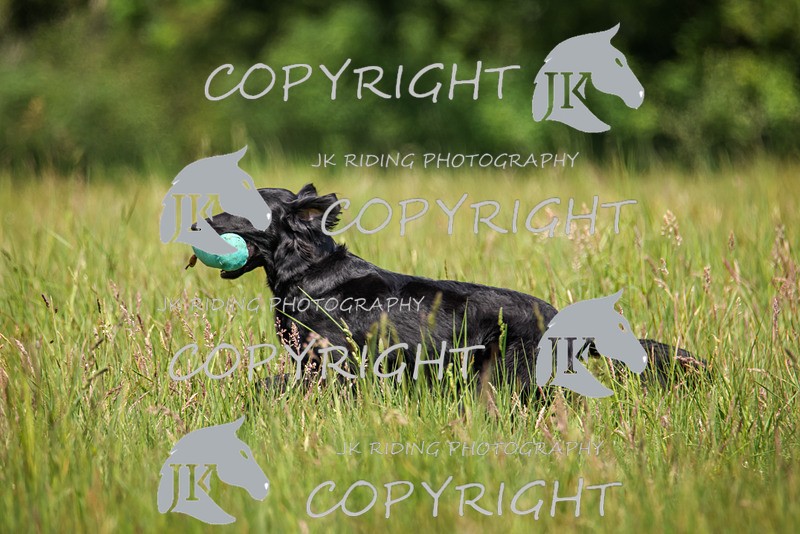 2R6A8660 - 37 Jane