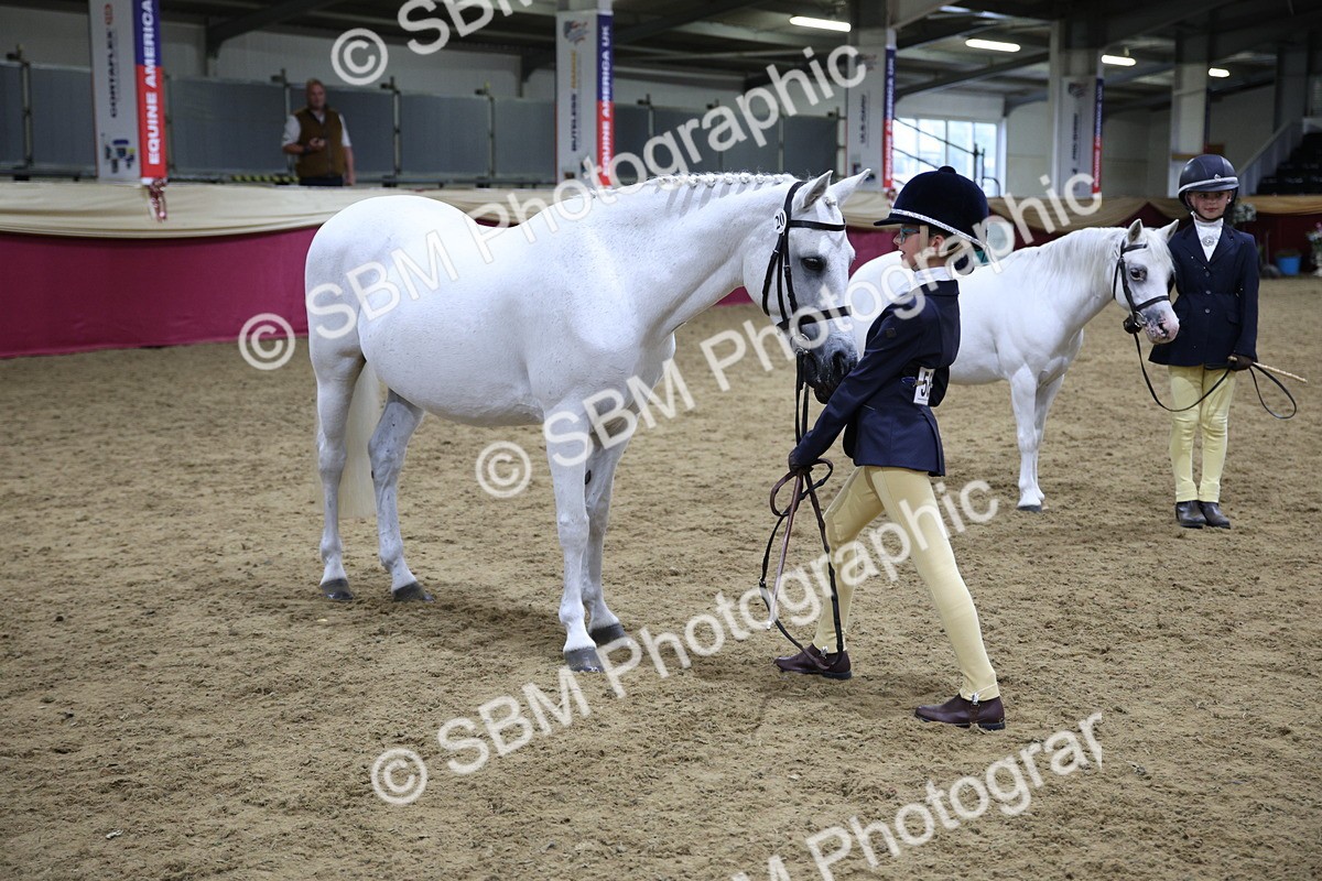 SBM_18771 - Class D IH Pony Champ
