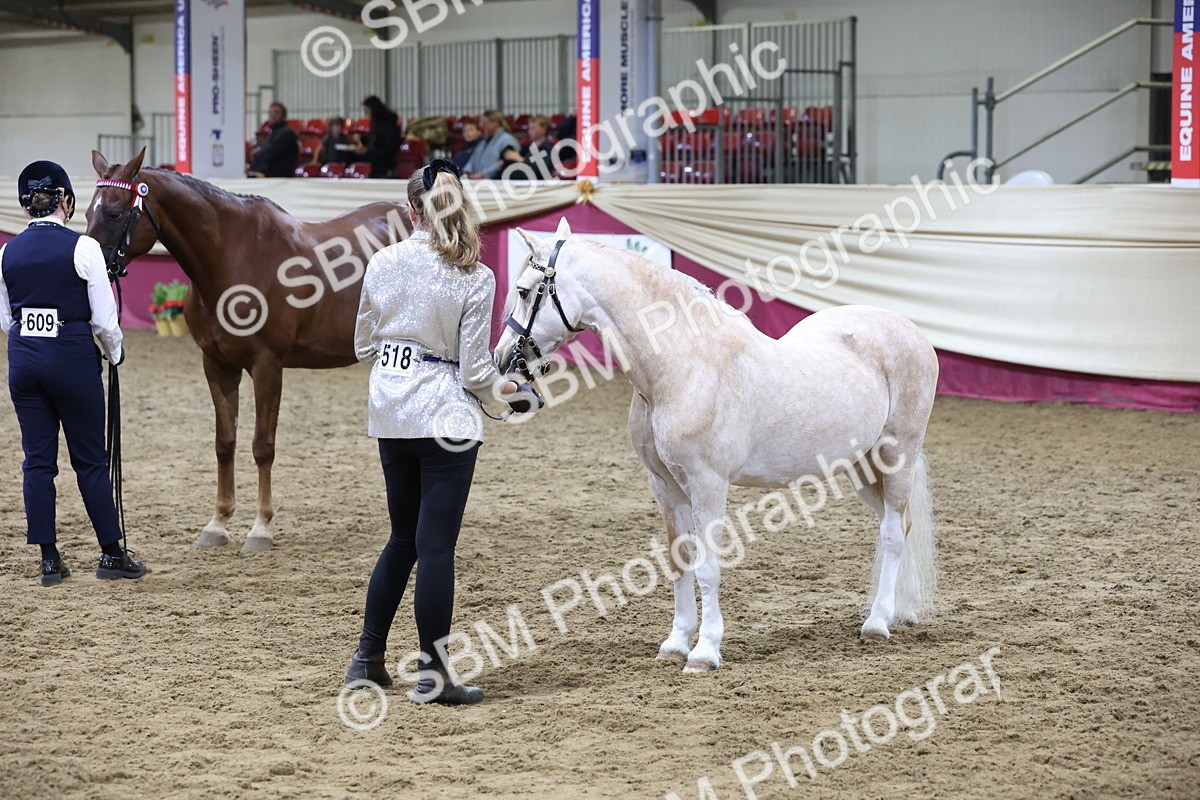 SBM_20453 - Class F - IH Small (148cm & Under)Champ