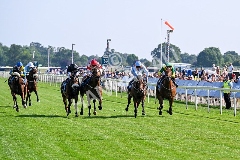 100726-Race 6-Ziggys Triton-0657 - Race 6 17.05pm William Hill Keep Your Raceday Positive Handicap