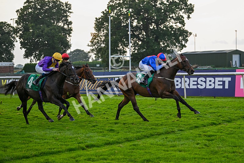 070924-Race 8-Desert Falcon-8093 - Race 8