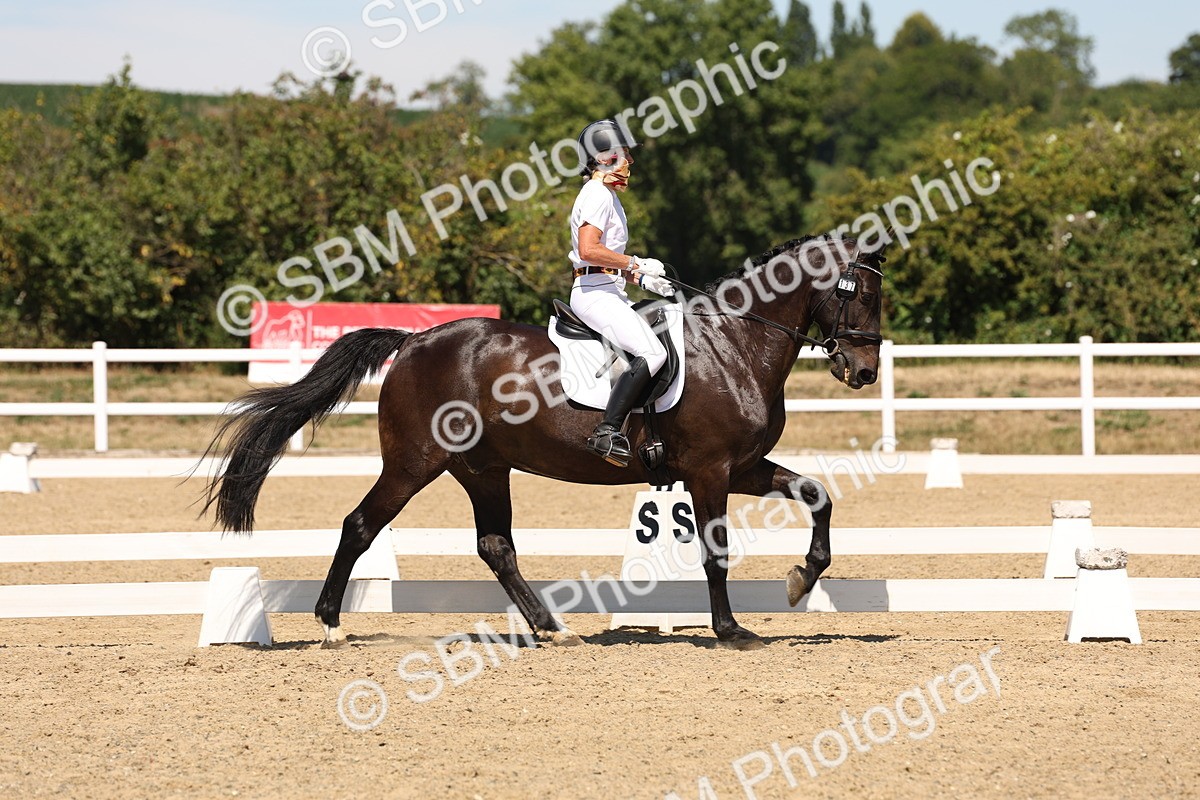 SBM_002792 - Elementary 4