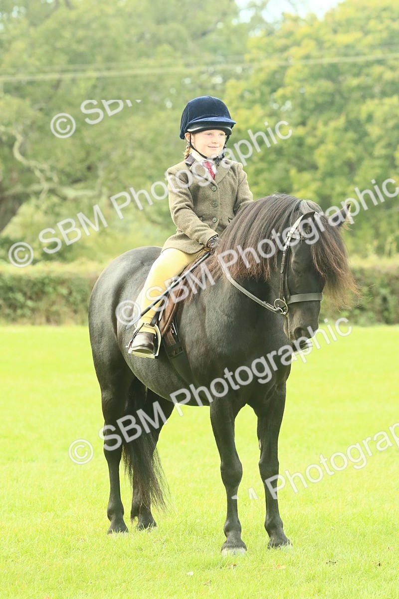 SBM_69977 - S59 - Mountain & Moorland Ridden Small Breeds
