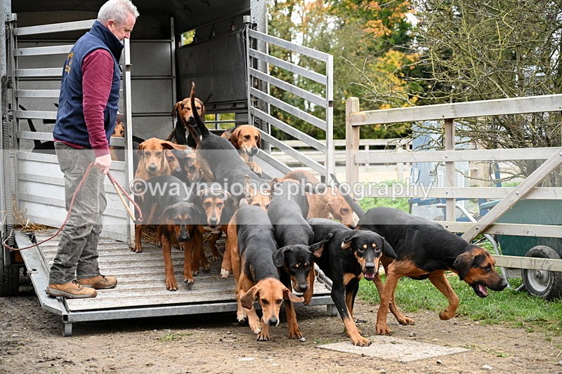 WJ7_5915 - Berks & Bucks - Children's Meet - The Old Farmhouse – Steventon.