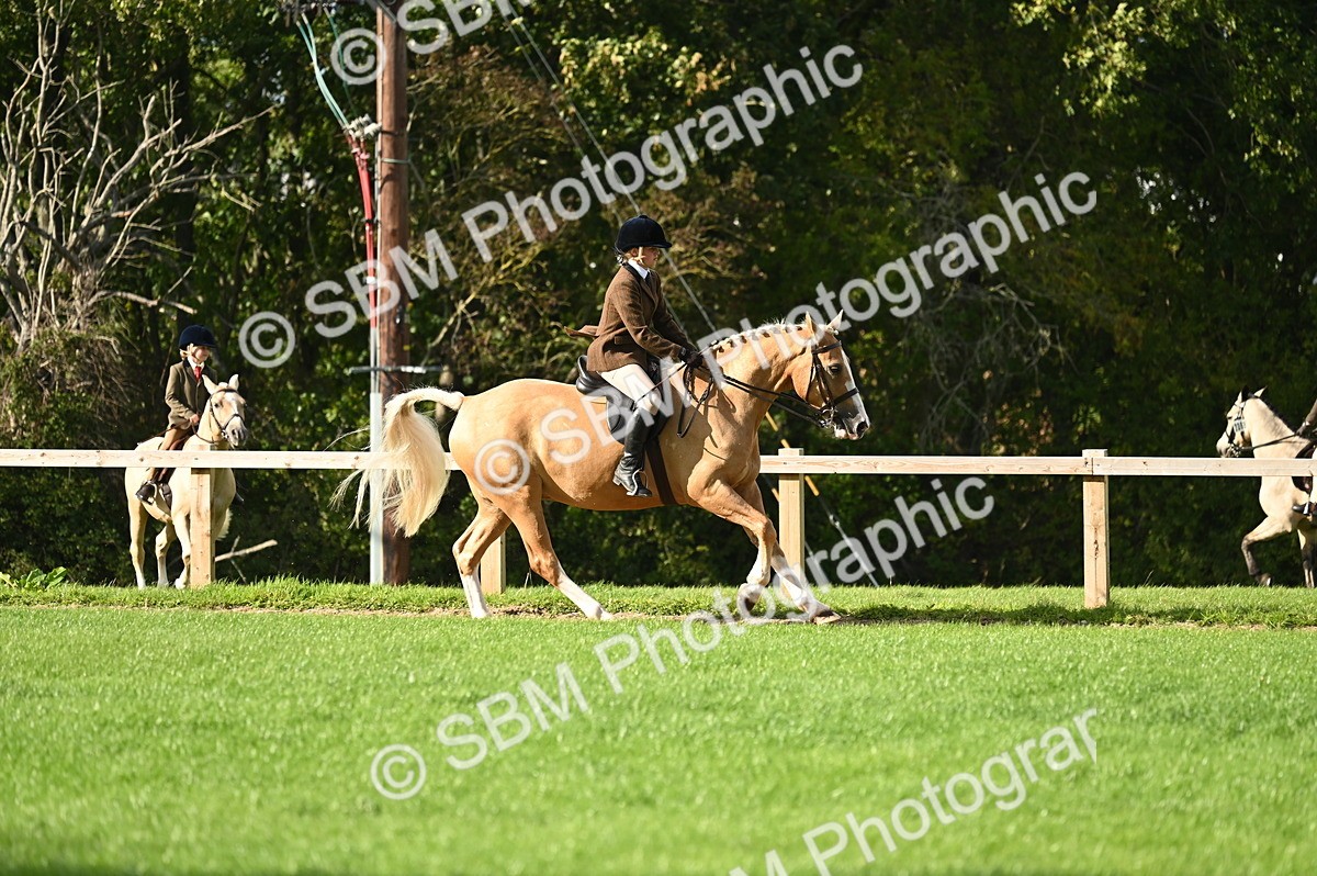 SBM_26414 - S6 - Novice & newcomer Ridden horse
