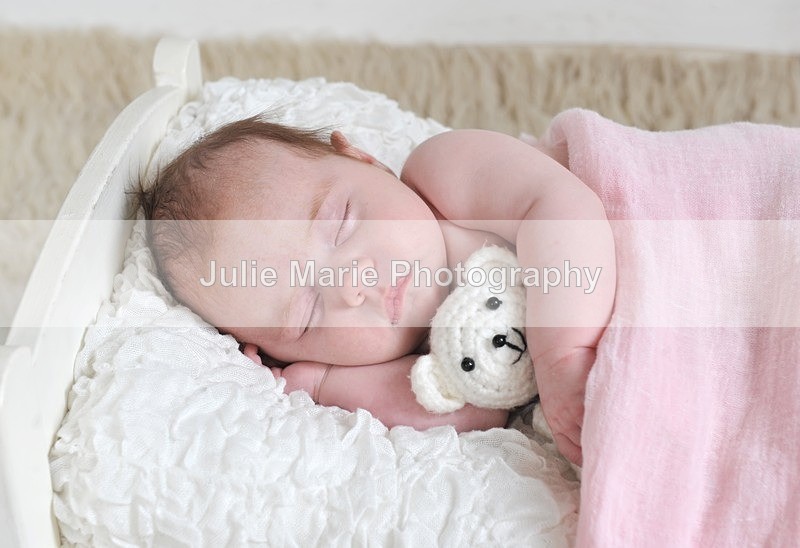 DSC_0600 - Chelsea