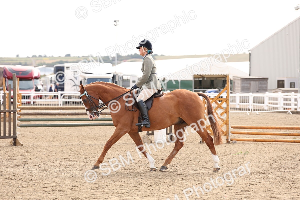 SBM_04261 - Class 54 - Riding Club Horse/Pony