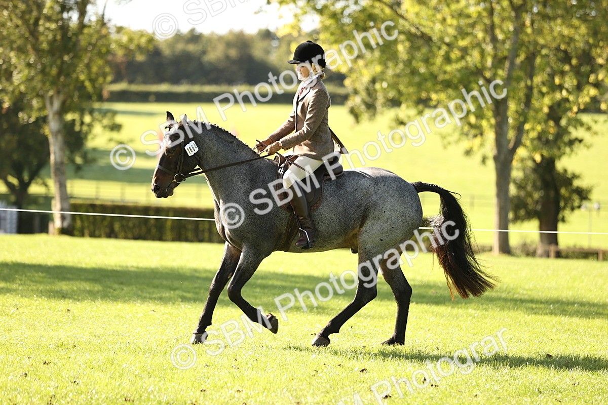 SBM_16974 - S2 - TSR Ridden Pony Showing