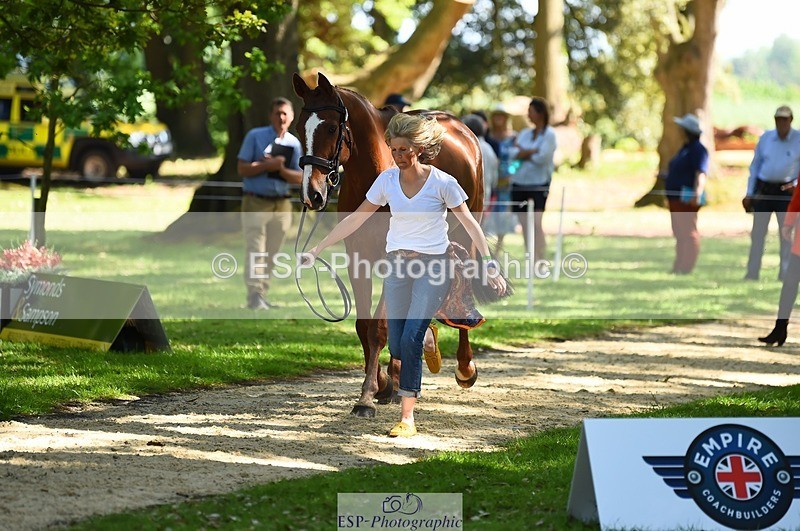 230524-152620-00264 - 328-GREENLOUGH_CROSS-Kelly_Mccarthy-maine-WEDTrotUp+DR