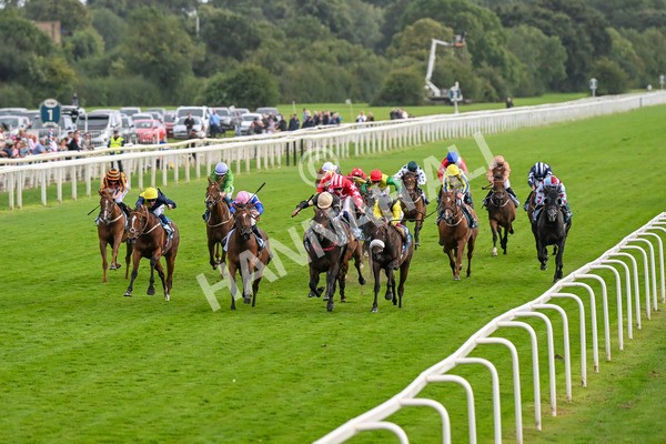 220824-Race 7-Alfa Kellenic-8046 - Race 7 5.20pm British EBF Fillies' Handicap