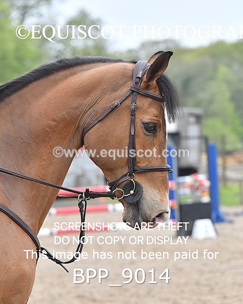 BPP_9014 - CLASS 26 SUN Senior Discovery/ 1m Open