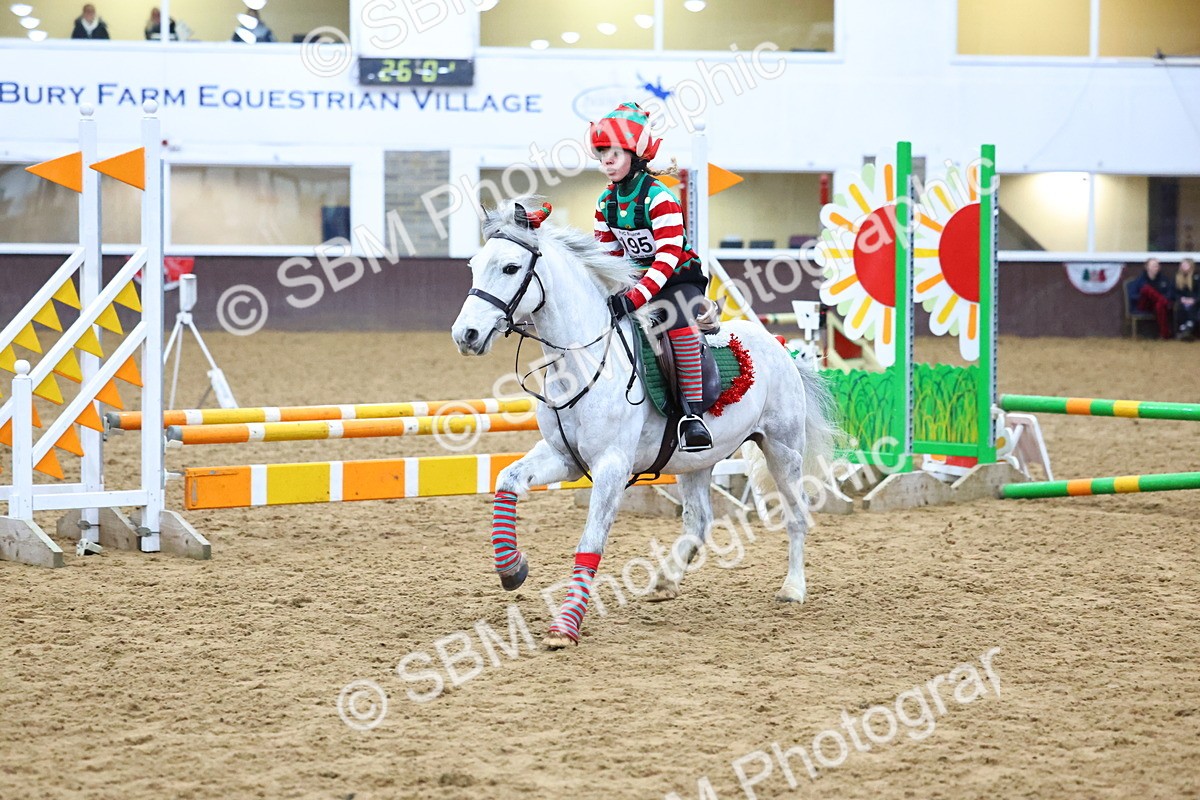 SBM_001349 - Class 3 - Christmas Tree Stakes - 60cm