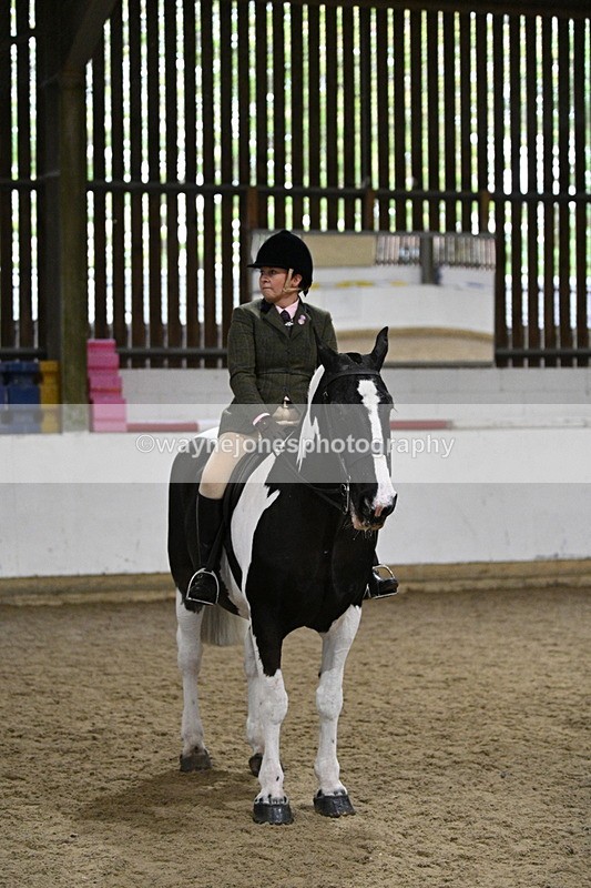 WJ7_3919 - Class 17 Ridden Cob