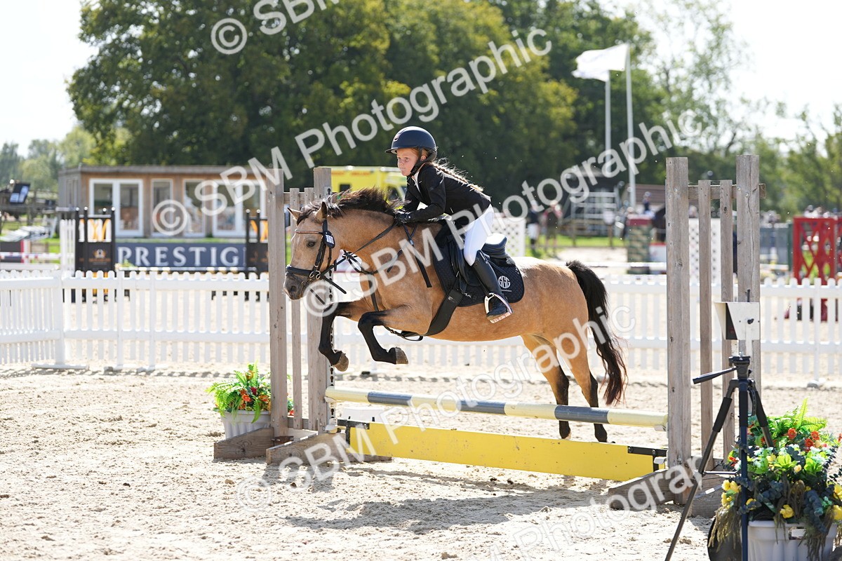 SBM_18208 - J58 - Clear Round 50cm