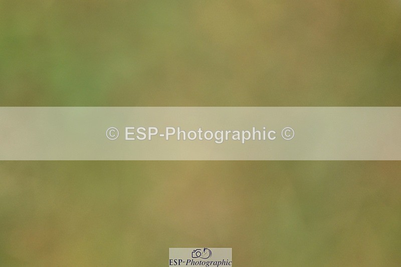 260730-120627-00605 - Cls 9 95cm Amateur