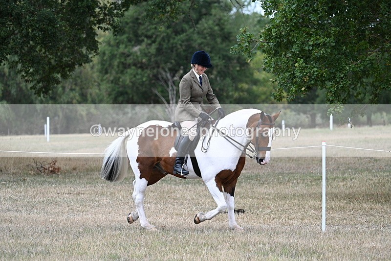 WJ7_4829 - Class 12 Ridden Cob