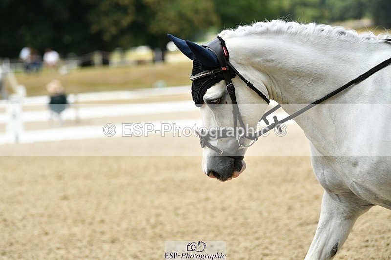 250718A-120935-01358 - 062-Emma.Lomas-Hillgarth.Bombay.Saphire