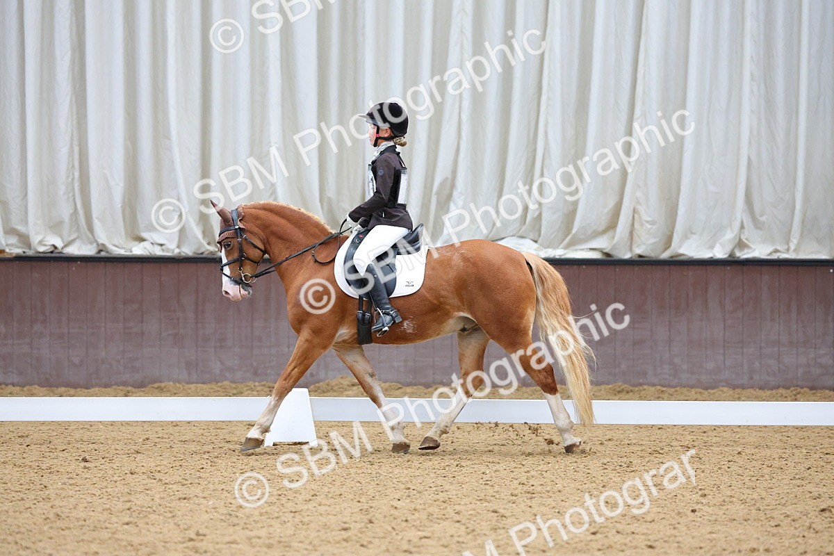 SBM_002950 - Novice