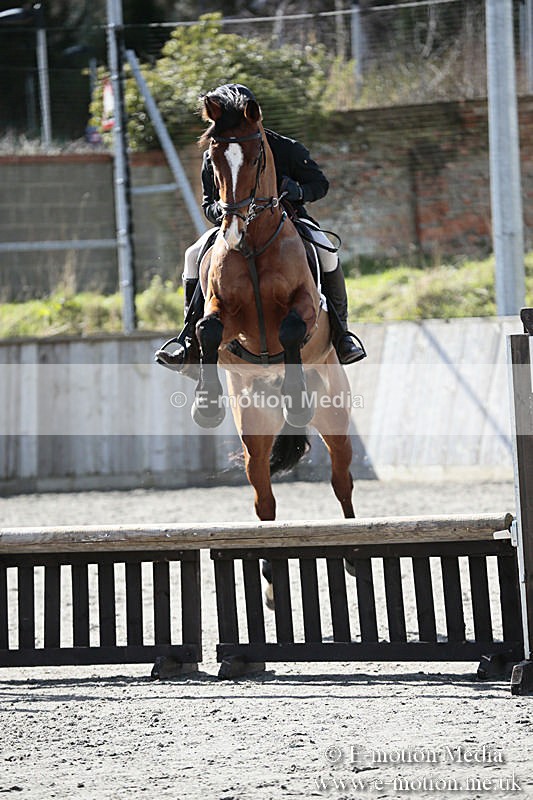 BVRC SJ 170319 368 - Bourne Valley Riding Club Showjumping 17/03/19