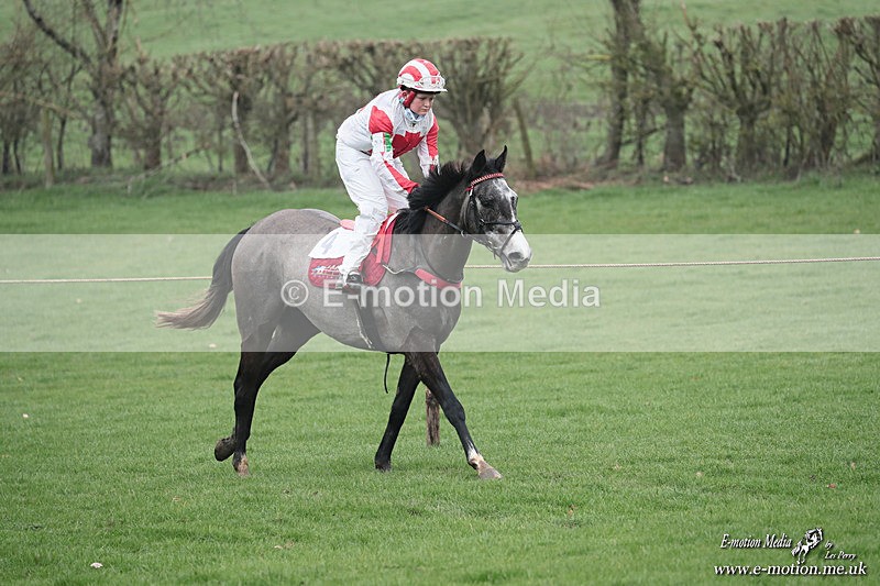 PR PtP 080326 535 - Guilsborough Pony Races 08/03/26