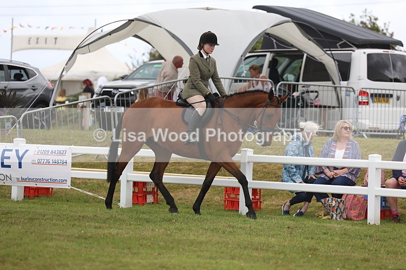 3E7A1388 - Class 9: Open Hunter