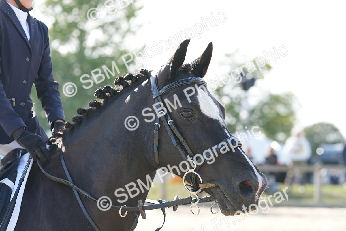 SBM_49419 - J8 - Junior Pony 65cm Championship