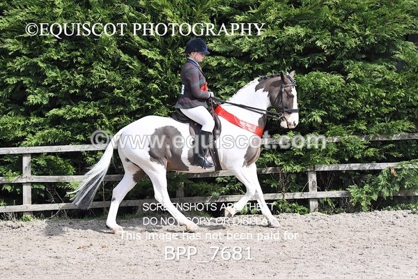 BPP_7681 - RING 1  (RIDDEN HORSES / IN HAND / VETERAN ETC)