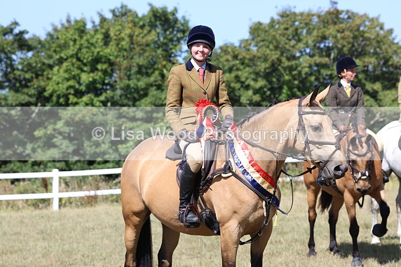 3E7A6474 - Working Hunter Championship