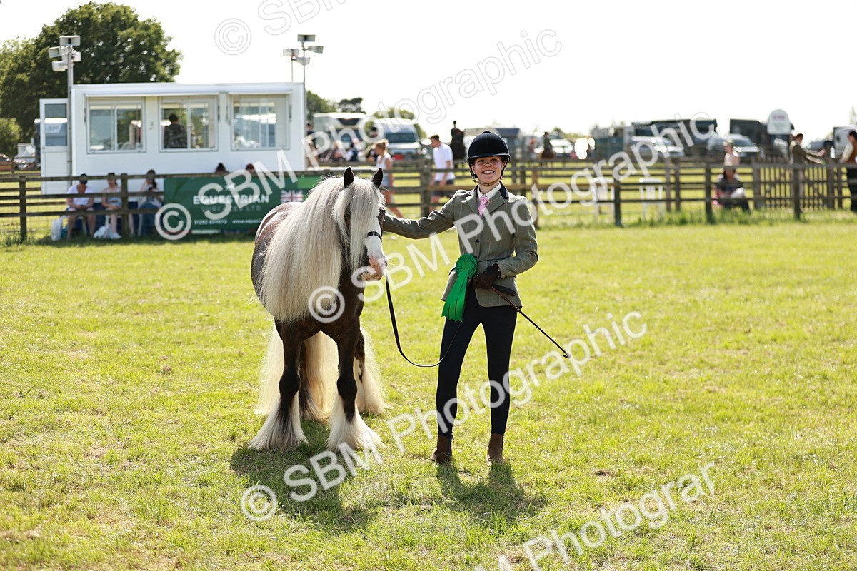 SBM_08930 - Class 63-65 - Traditional Gypsy Cobs In Hand & Ridden