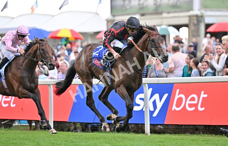 190826-082 Maltese Cross - Race 3 15.00pm Sky Bet Great Voltigeur Stakes
