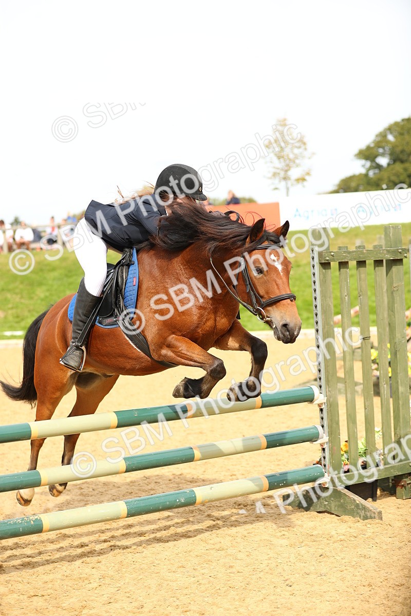 SBM_67203 - J17 - Junior Pony 80cm Championship