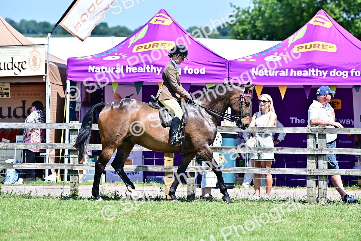 SBM_17444 - Class 95-97 - BSPS LHS Performance Ponies