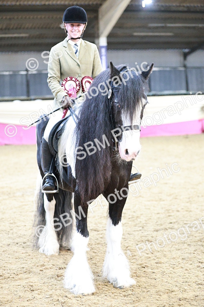 SBM_08704 - Regional Ridden Champ