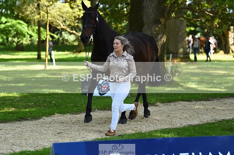 230524-160206-00631 - 209-MONBEG_EBONY-Molly_Fletcher-WEDTrotUp+DR