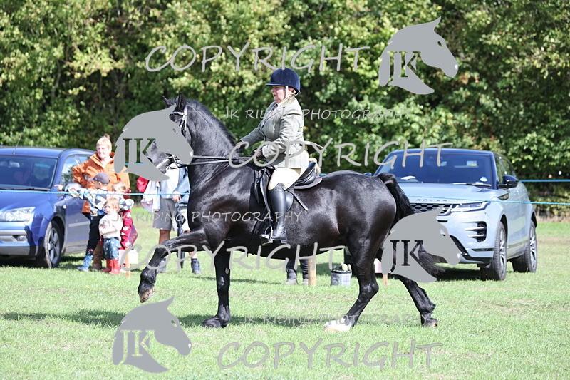 APP_3553 - Class 12 M&M ridden